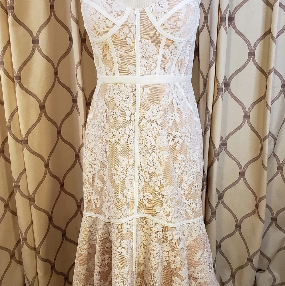 Elegant Lace Women’s Prom Dress - Picture 3 of 11
